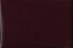 Blu Checkminder Cover